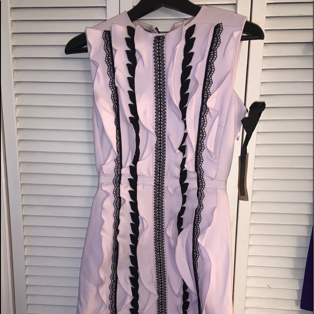 Giambattista Valli Ruffled Printed Mini Dress 38